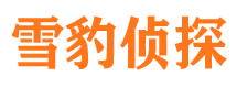 上犹侦探社